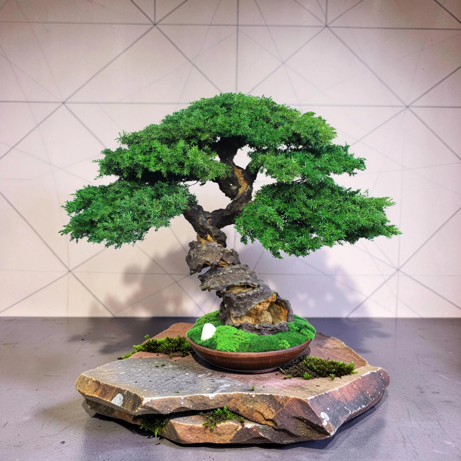 Preserved Juniper Bonsai – Handmade Interior Art Sculpture. 41 cm / 16,14″