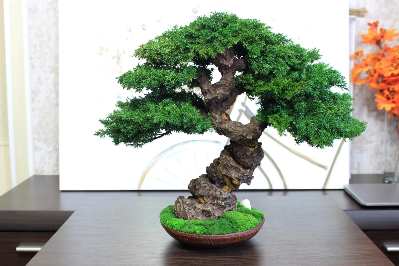 Preserved Juniper Bonsai – Handmade Interior Art Sculpture. 41 cm / 16,14″