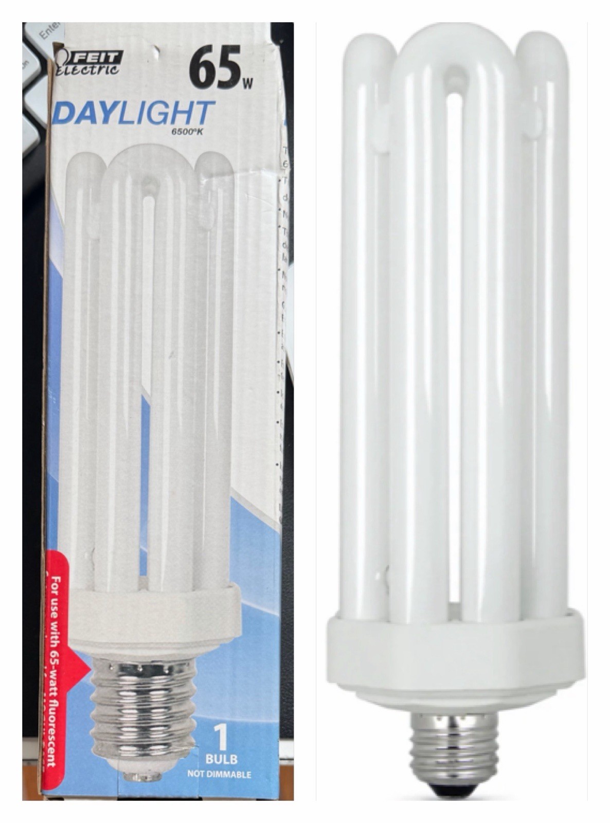 Feit 65 W PL 3.12 in. L CFL Bulb Daylight Utility 6500 K