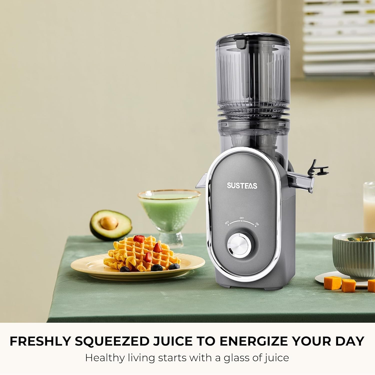 Cold Press Juicer 300W 5.3 inch Large Feed Chute 1.5L Capacity Gray