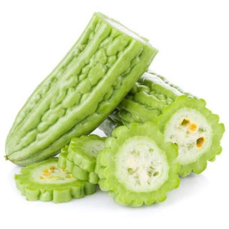 Vietnam Bitter Gourd, Khổ Qua Mỡ Trái Dài, Bitter Melon Seeds F1 Non-GMO