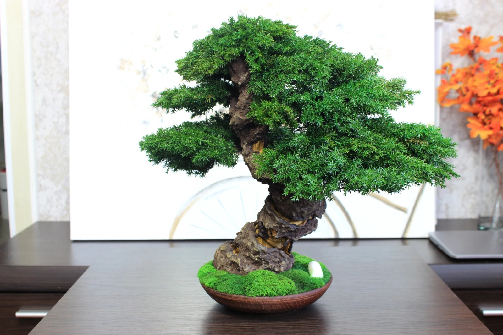 Preserved Juniper Bonsai – Handmade Interior Art Sculpture. 41 cm / 16,14″