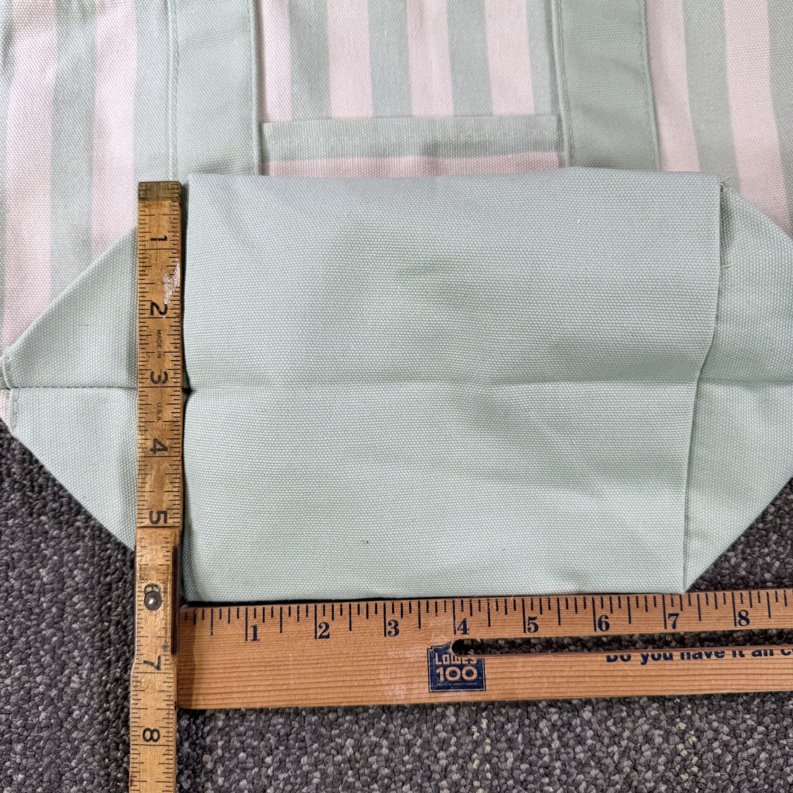 Trader Joe’s Striped Mini Canvas Tote Bag Pastel Green Summer 2026 Limited