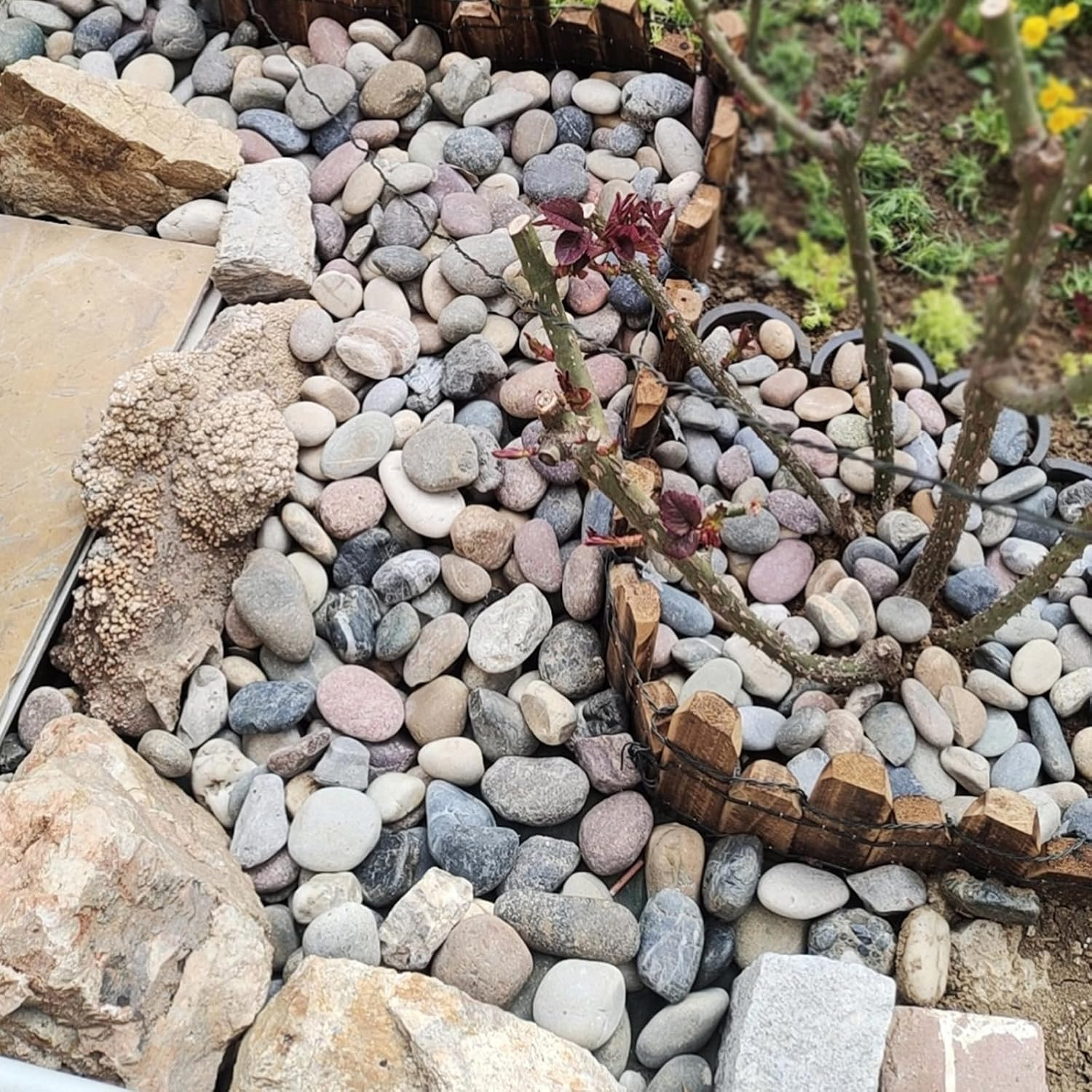 40 Lbs River Rocks for Landscaping, 1-2 Inch Decorative Stones Pebbles for Plant