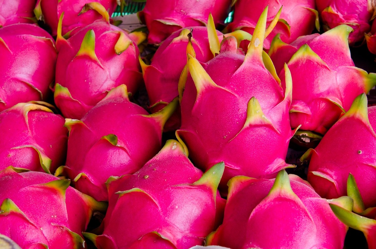 DRAGON FRUIT PINK powder 8oz 16oz 1lb 32oz 2lb 4lb 10lb 55lb FREEZE DRIED PAJE