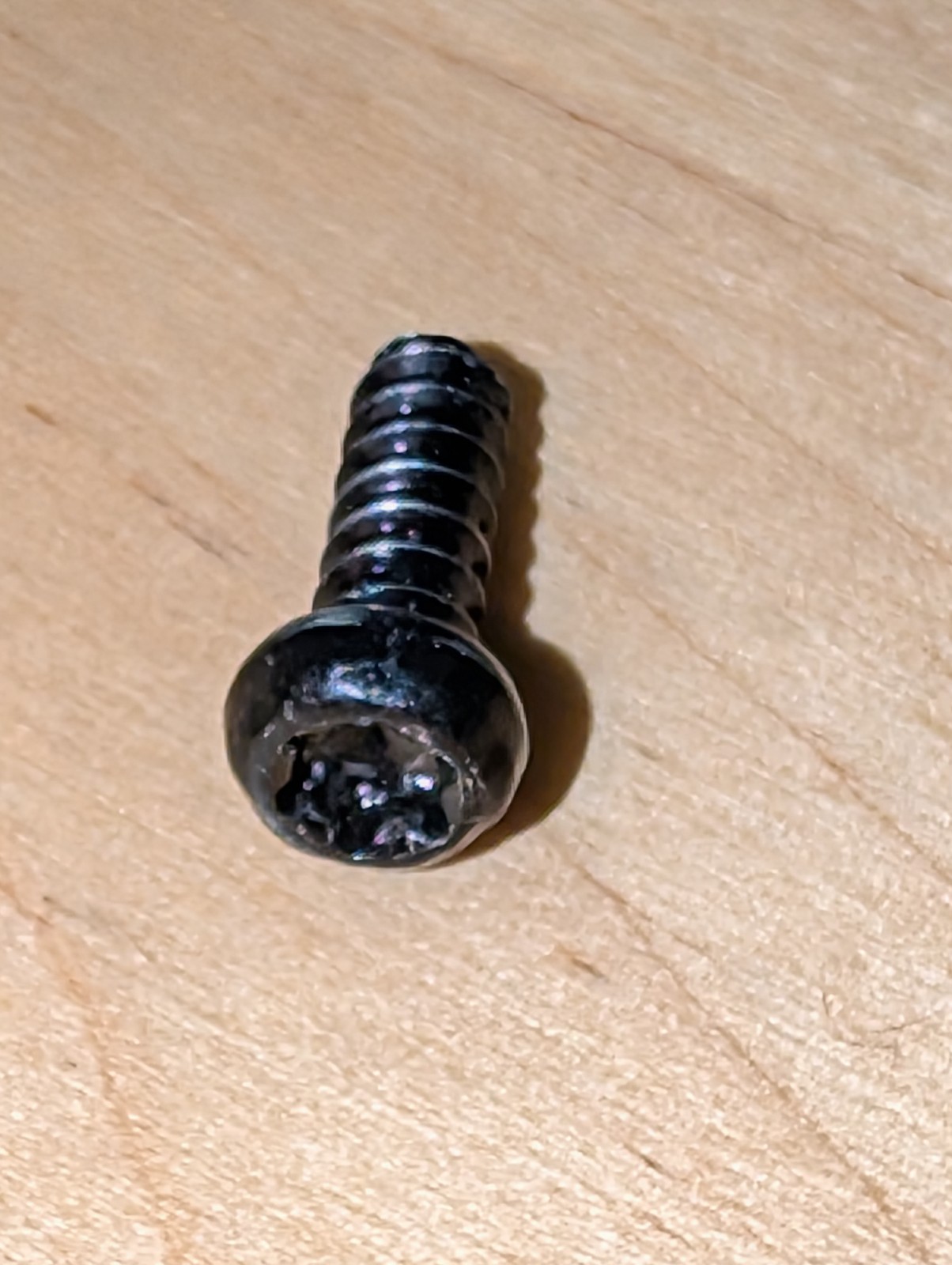 Ryobi Backpack Blower RY404017 Screw M4-18 x 12mm, T20 Torx Pan Head