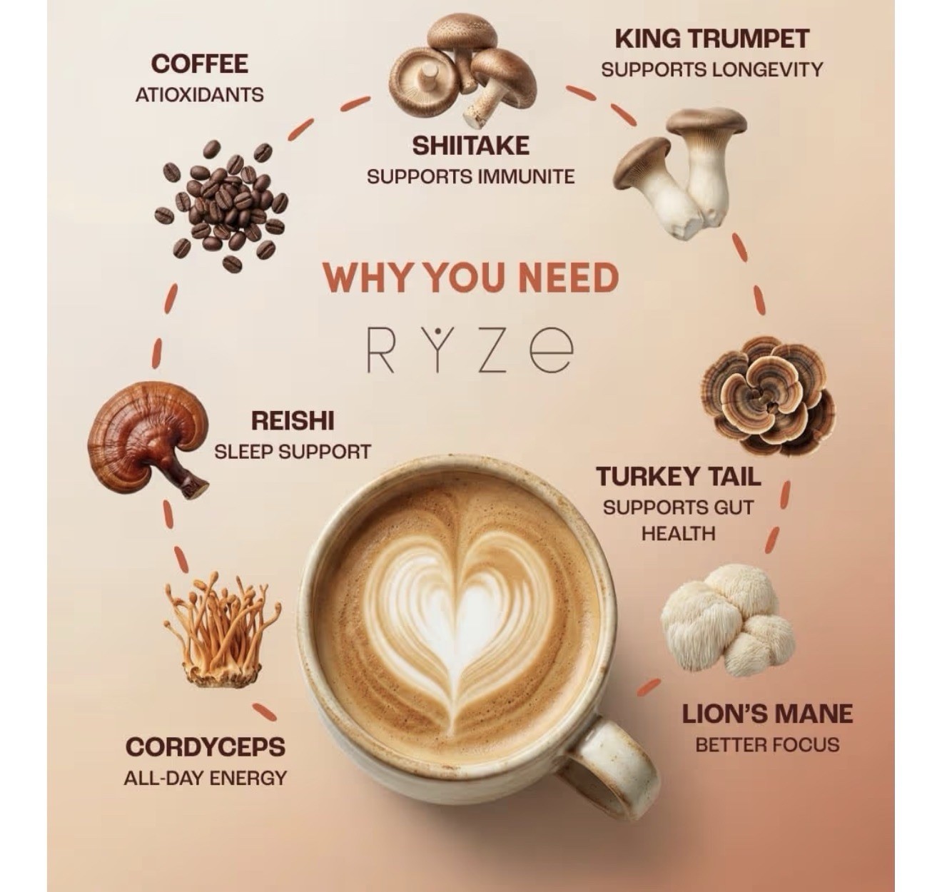 MUSHROOM COFFEE 2 BAGS