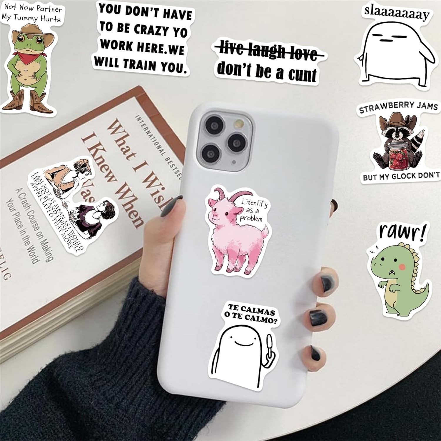 Adult Funny Meme Stickers Vinyl Stickers for Kids Teens Adults 50Pcs Set