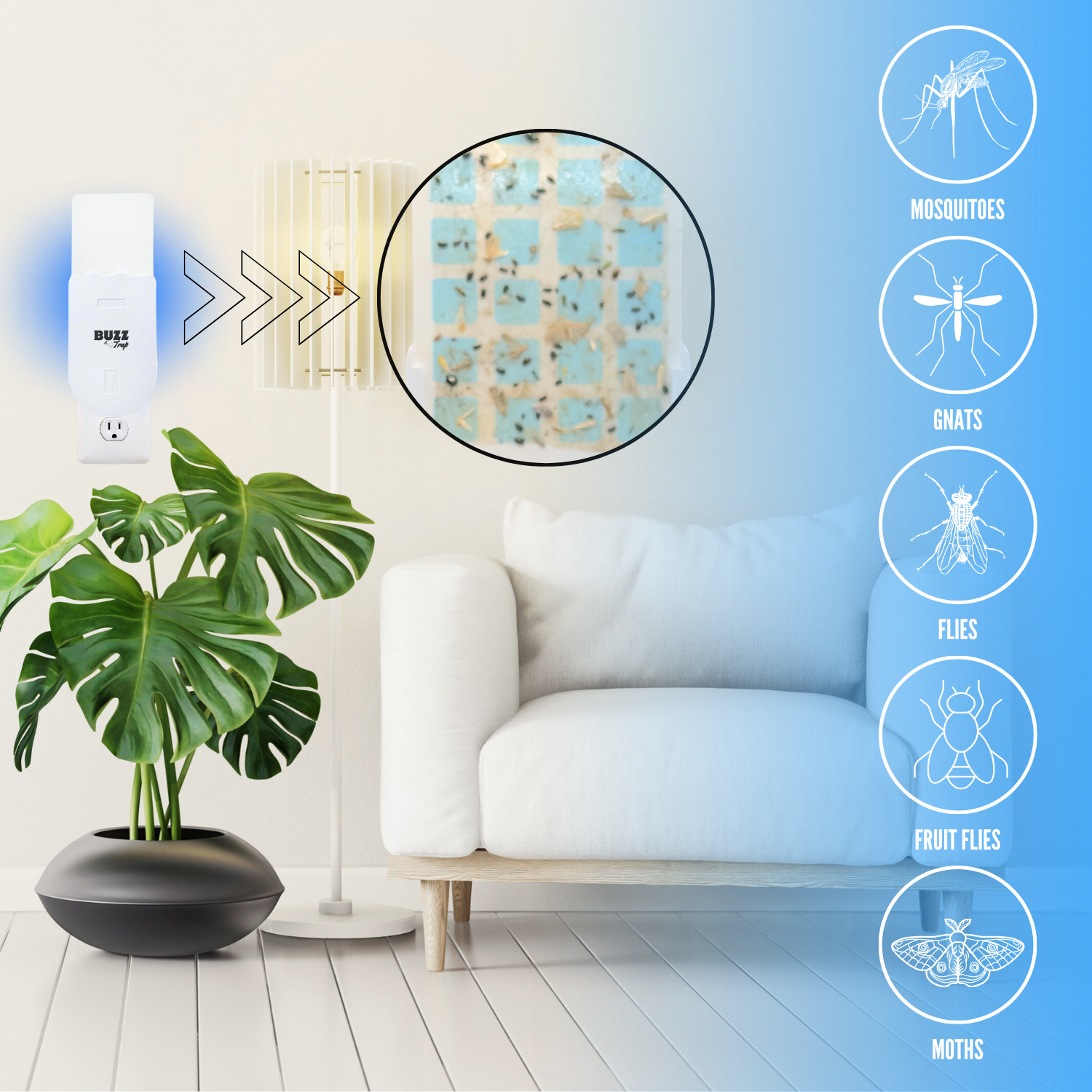 Flying Insect Trap, Indoor Fly Trap, Fruit Fly Traps, (2 Device + 16 REFILLS)