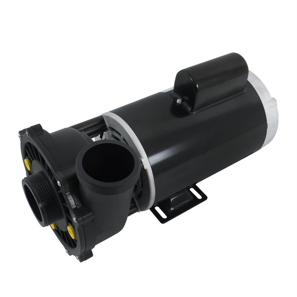Executive 56-Frame 4HP Dual-Speed Spa Pump, 2in Intake, 2in Discharge