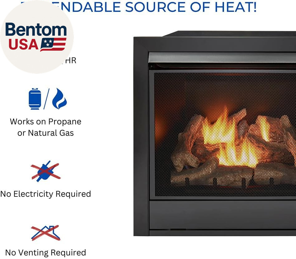 Dual Fuel Ventless Gas Fireplace Insert, Remote Control, 9 Fire Logs, Use with N