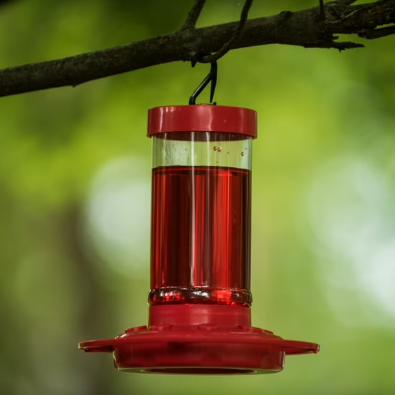 2 pack First Nature Hummingbird Feeder, 16 oz, Red, Plastic