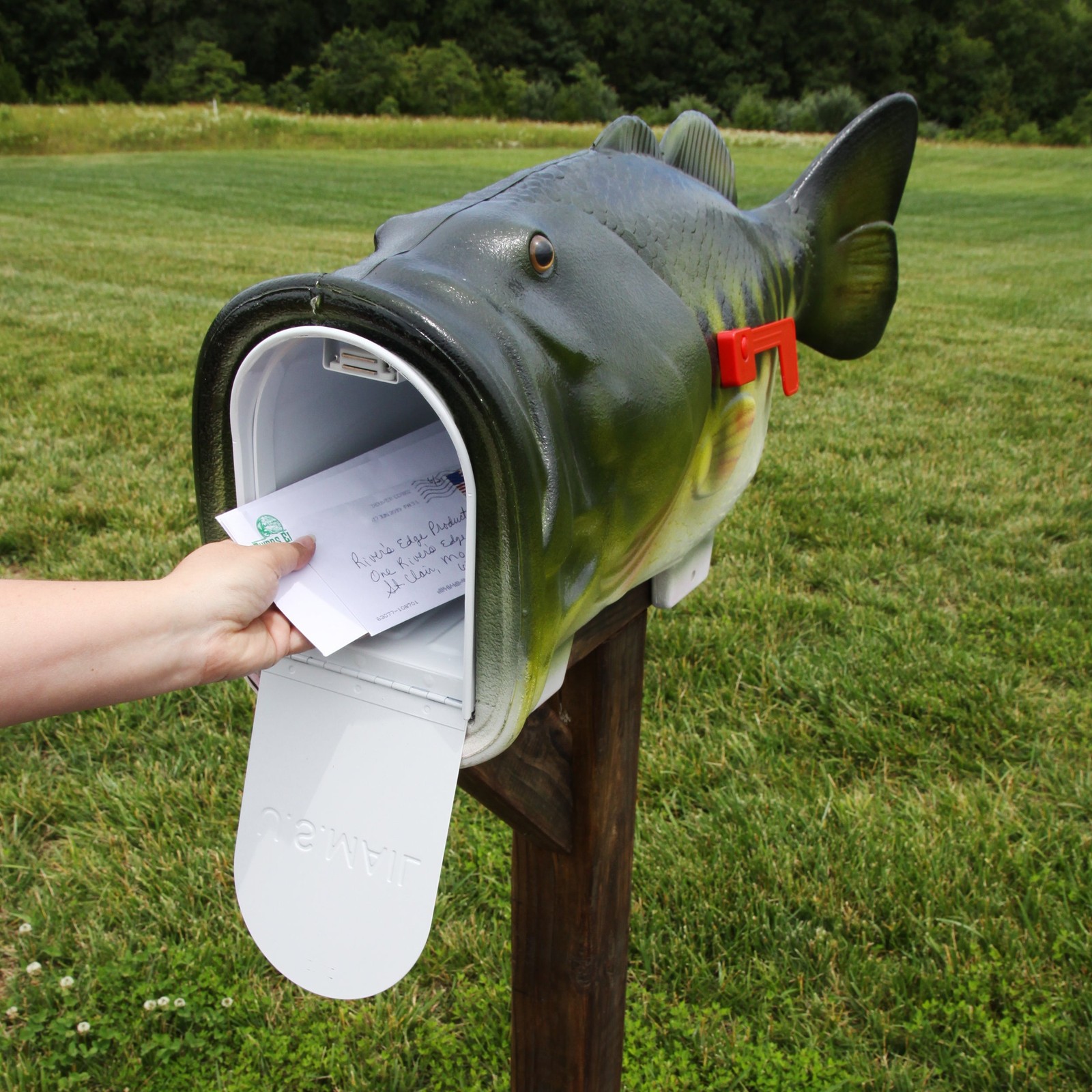 Largemouth Bass Fish Mailbox for Outside of Residential Home, Rural Mailbox