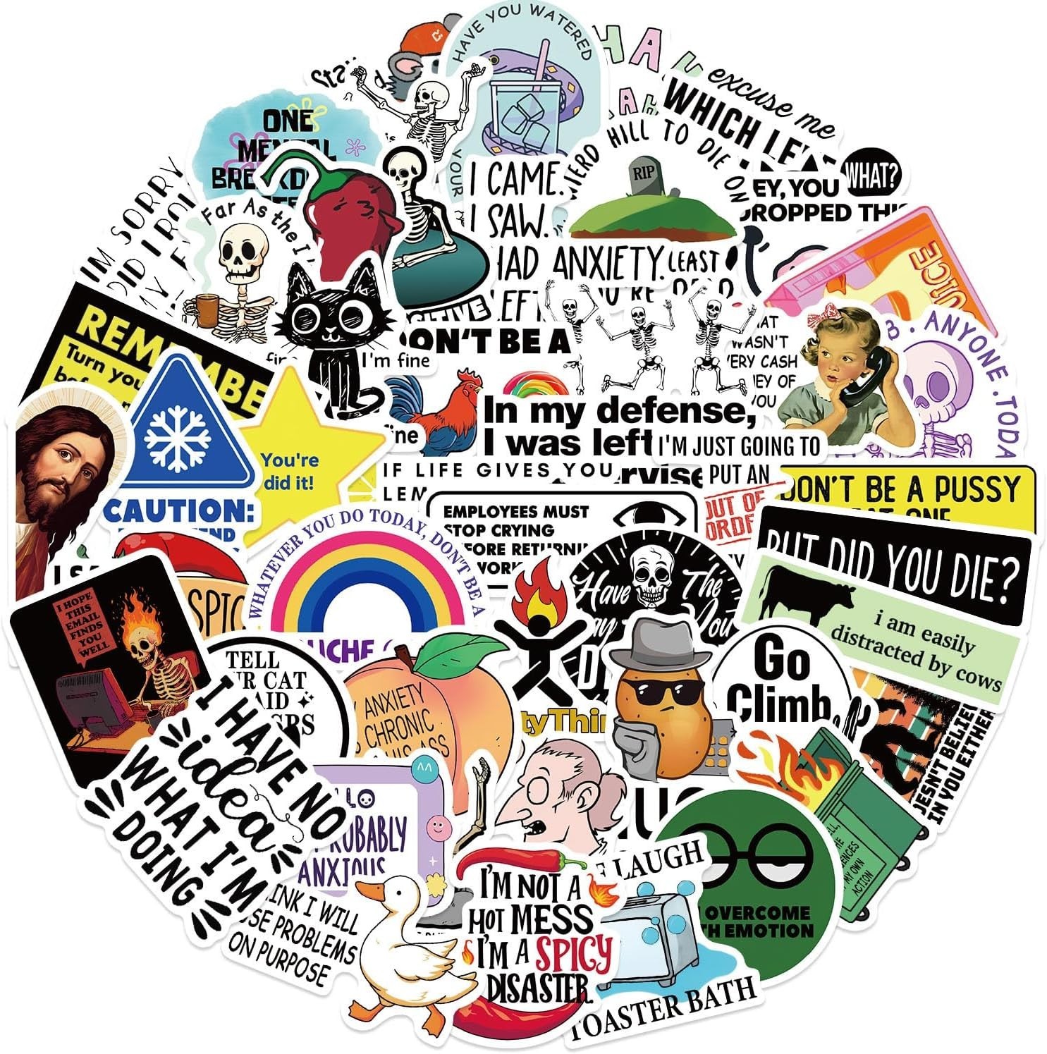 50Pcs Funny Adults Stickers Bulk, Prank Meme Sticker for Kids Teens Adults, S…