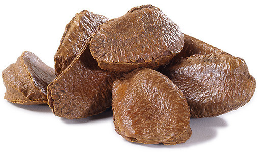 In Shell Brazil Nuts – 5 lb. – Treasured Harvest Brand