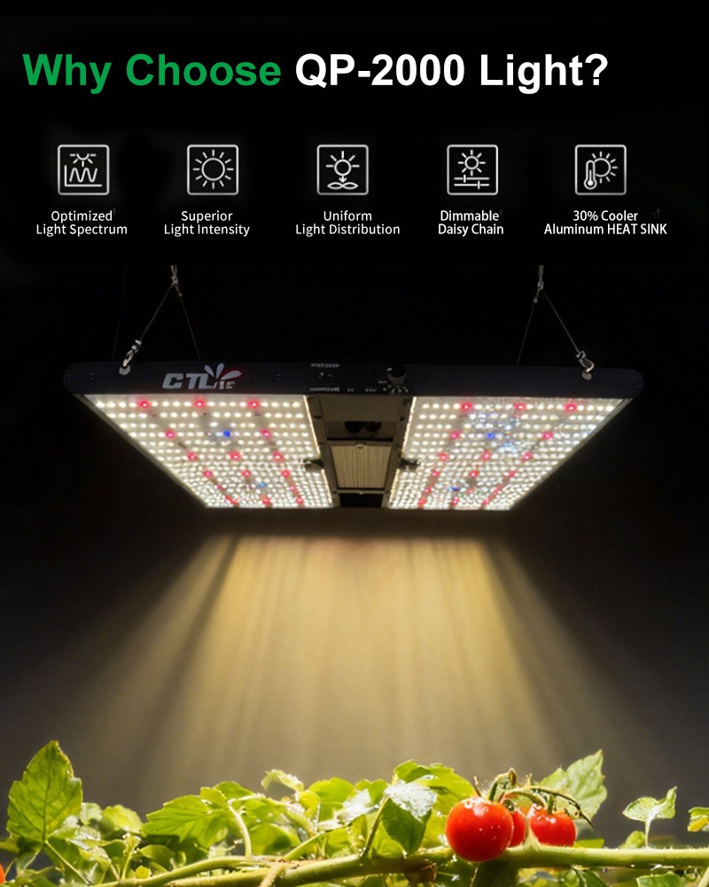 CTLite 2000W LED Grow Light 4×4FT Coverage Commercial Full Spectrum Growing Lamp