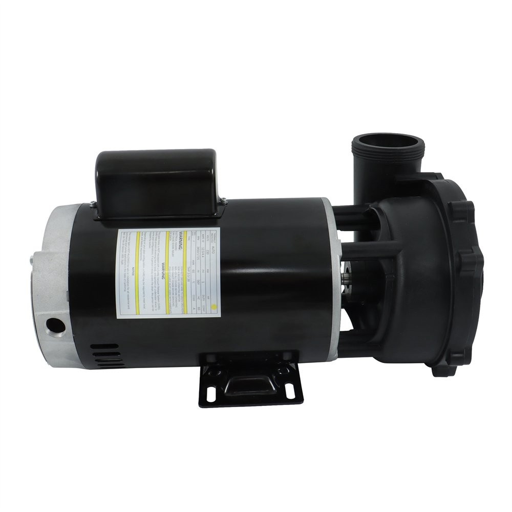 Executive 56-Frame 4HP Dual-Speed Spa Pump, 2in Intake, 2in Discharge