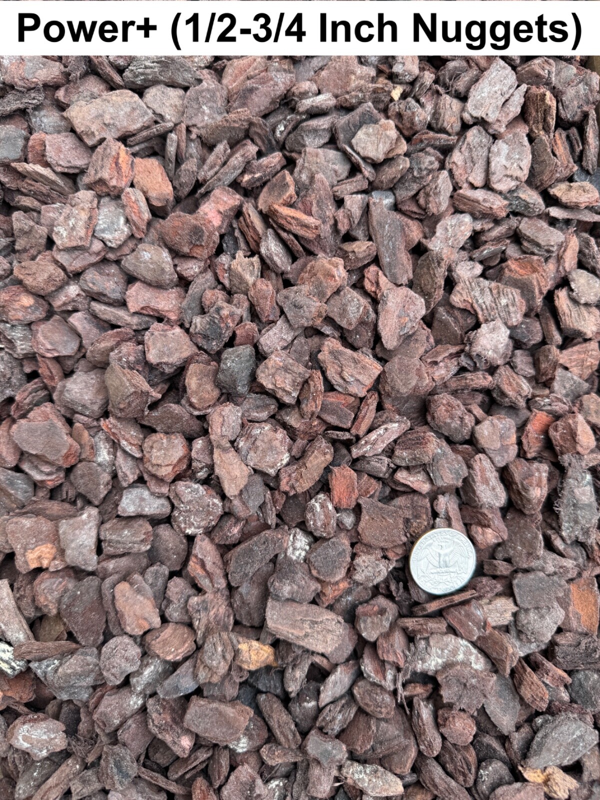 Dalton’s of New Zealand Orchiata Bark – Precision, Classic, Power & Power+