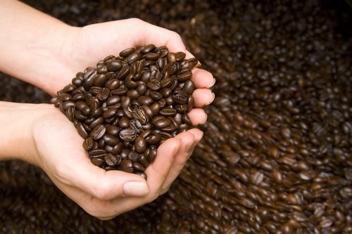 WORLD TOUR FRESH ROASTED COFFEE SAMPLER #2 MEDIUM ROASTED 6 LBS IN ! POUND BAGS