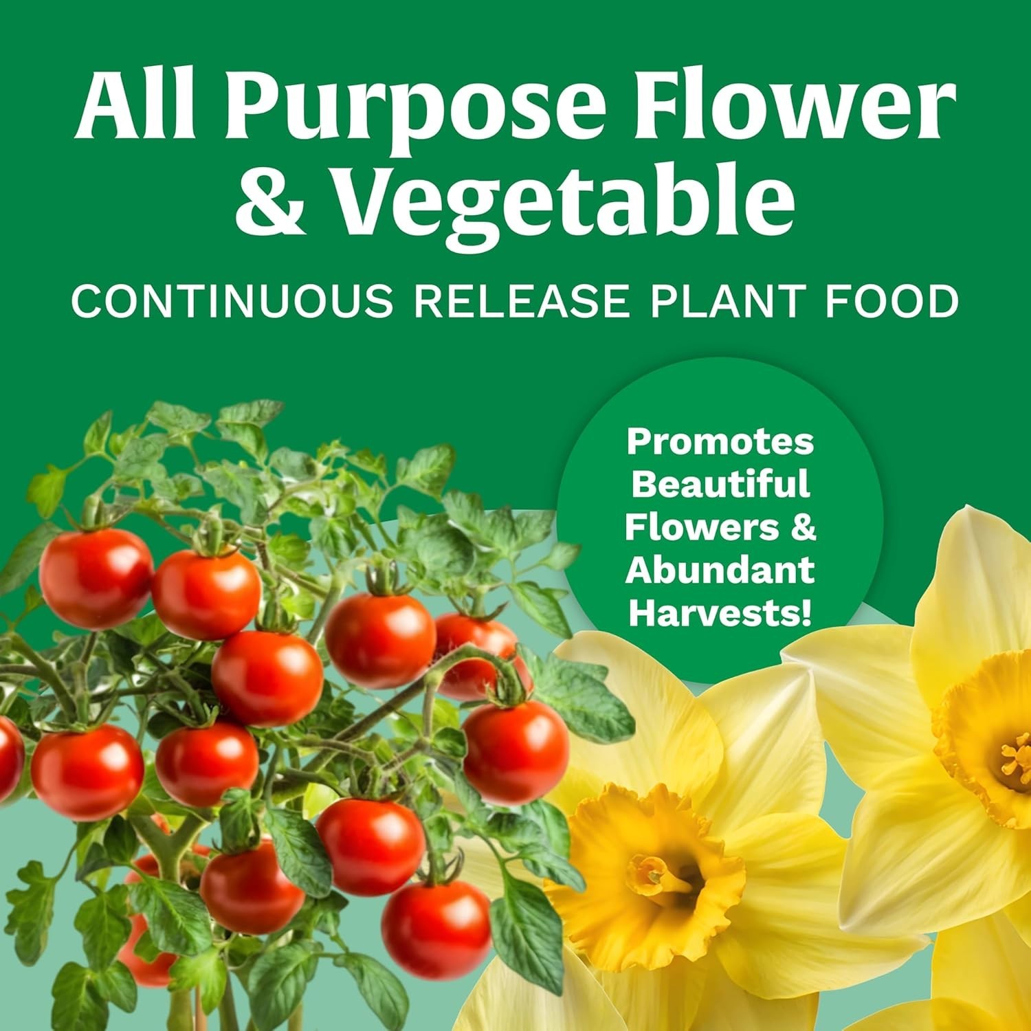 Scotts All Purpose Flower & Vegetable Outdoor Plant Food, 3 lb. Continuous