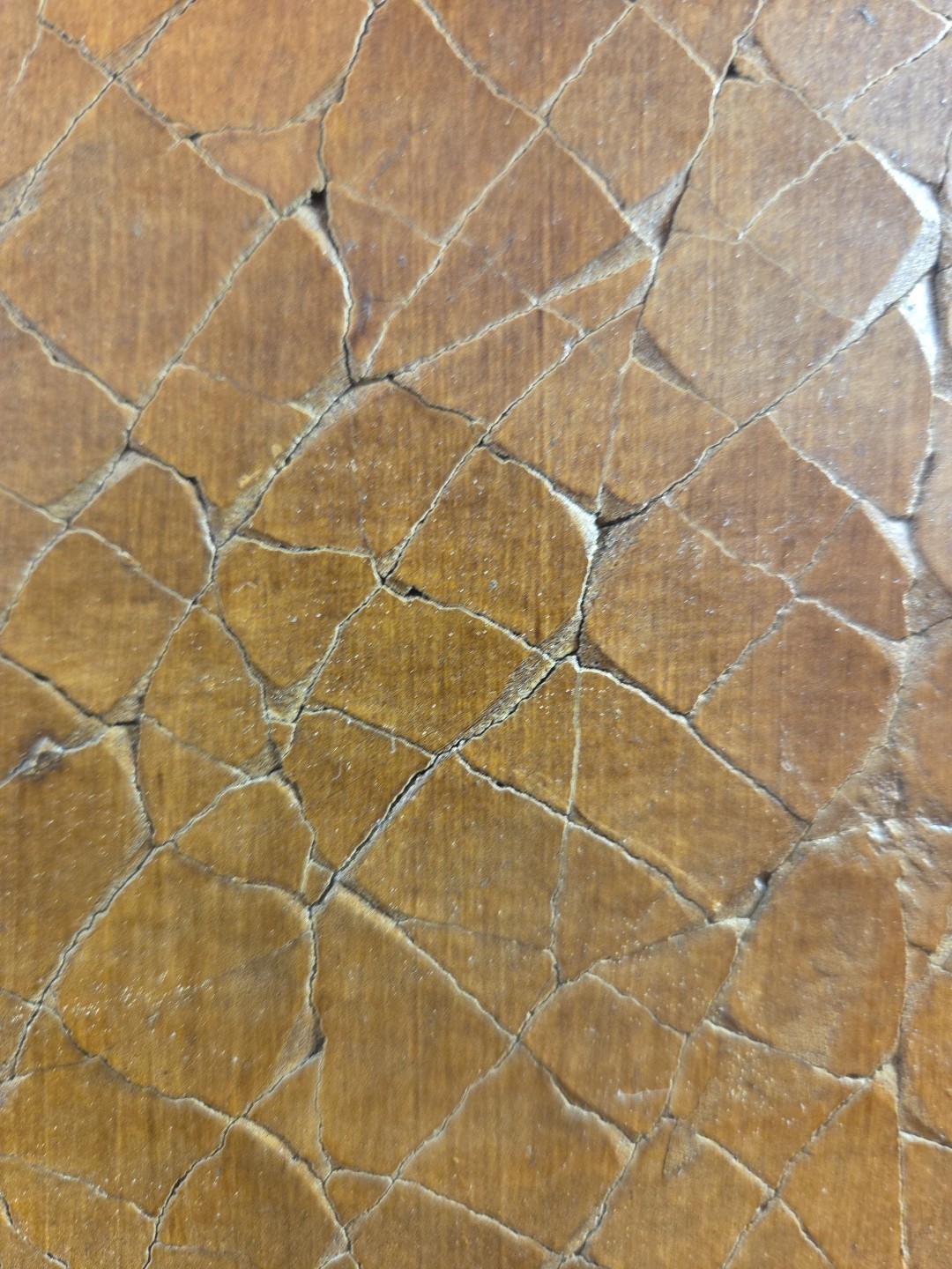 Unique and Unusual Lamp Shade Unknown Material Leather Turtle Heavy MCM
