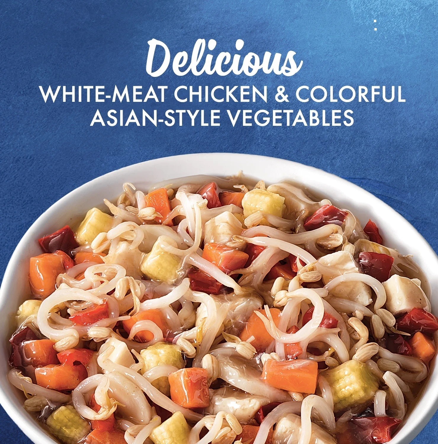 La Choy Chicken Chow Mein – White Meat Chicken with Vegetables in Sauce, 42 oz