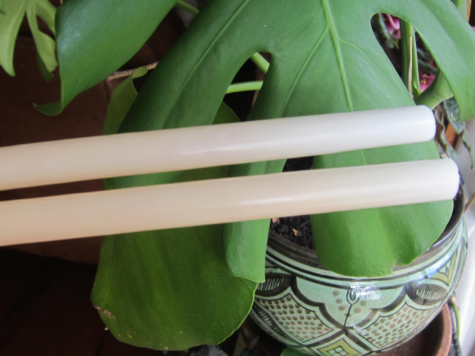 VTG Nantucket 15” Taper Candle Pair – 1960s Estate – Long Slender Ivory Tapers