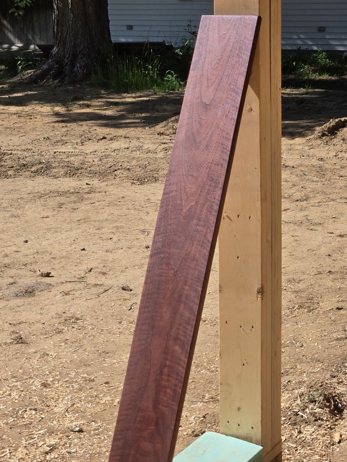1 In. X 7In. X 42” Curly Highly Figured, Quilted Black Walnut S4S Hardwood Board
