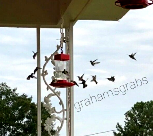 FIRST NATURE HUMMINGBIRD FEEDER 32 OZ WIDE MOUTH #3055 EASY CLEAN MADE IN USA!