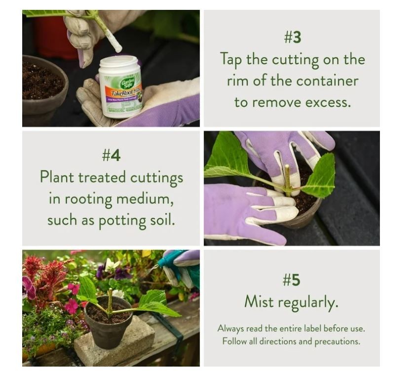 2 Pack Garden Safe Takeroot Rooting Hormone, New Plants Growth Powder – 2 Oz