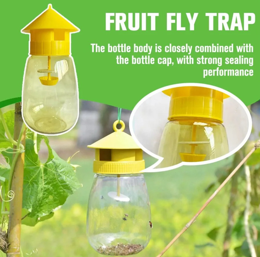 3pcs Fruit Fly & Insect Trap – Outdoor Plastic Hanging Drosophila Killer – NEW