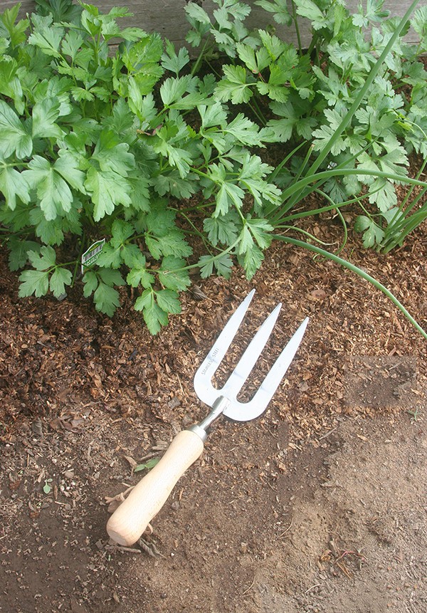 Weeding Fork Hand Garden Tool Stainless Steel Wood Handle Gardening Implement