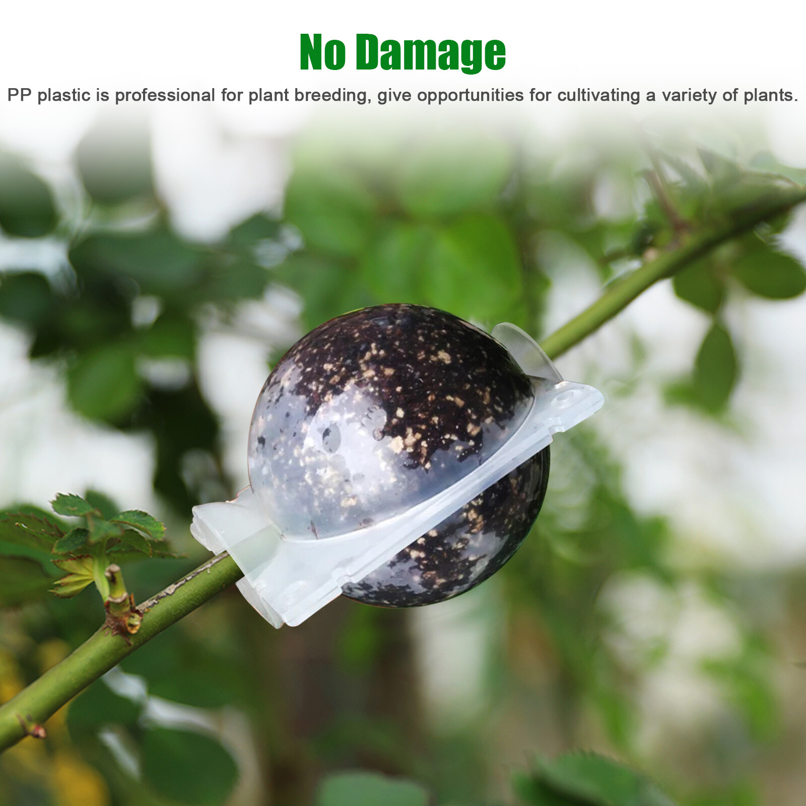 10Pcs 5CM Plant Root Growing Box Reusable Air Layering Pods for Fast Propagation