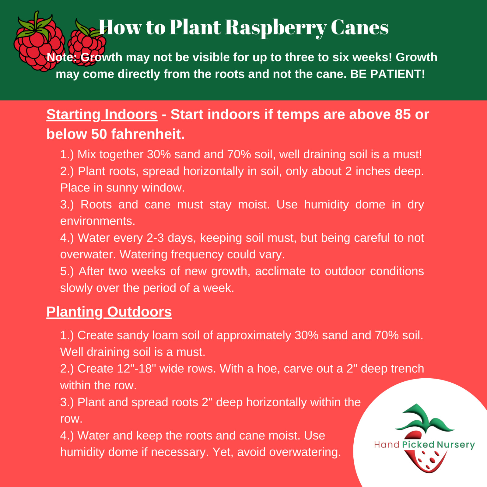 Hand Picked Nursery Joan J Raspberry Canes – Bare Root Canes, 1-Year-Old
