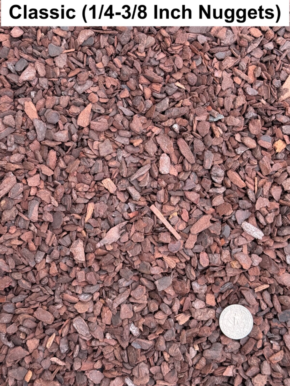 Dalton’s of New Zealand Orchiata Bark – Precision, Classic, Power & Power+