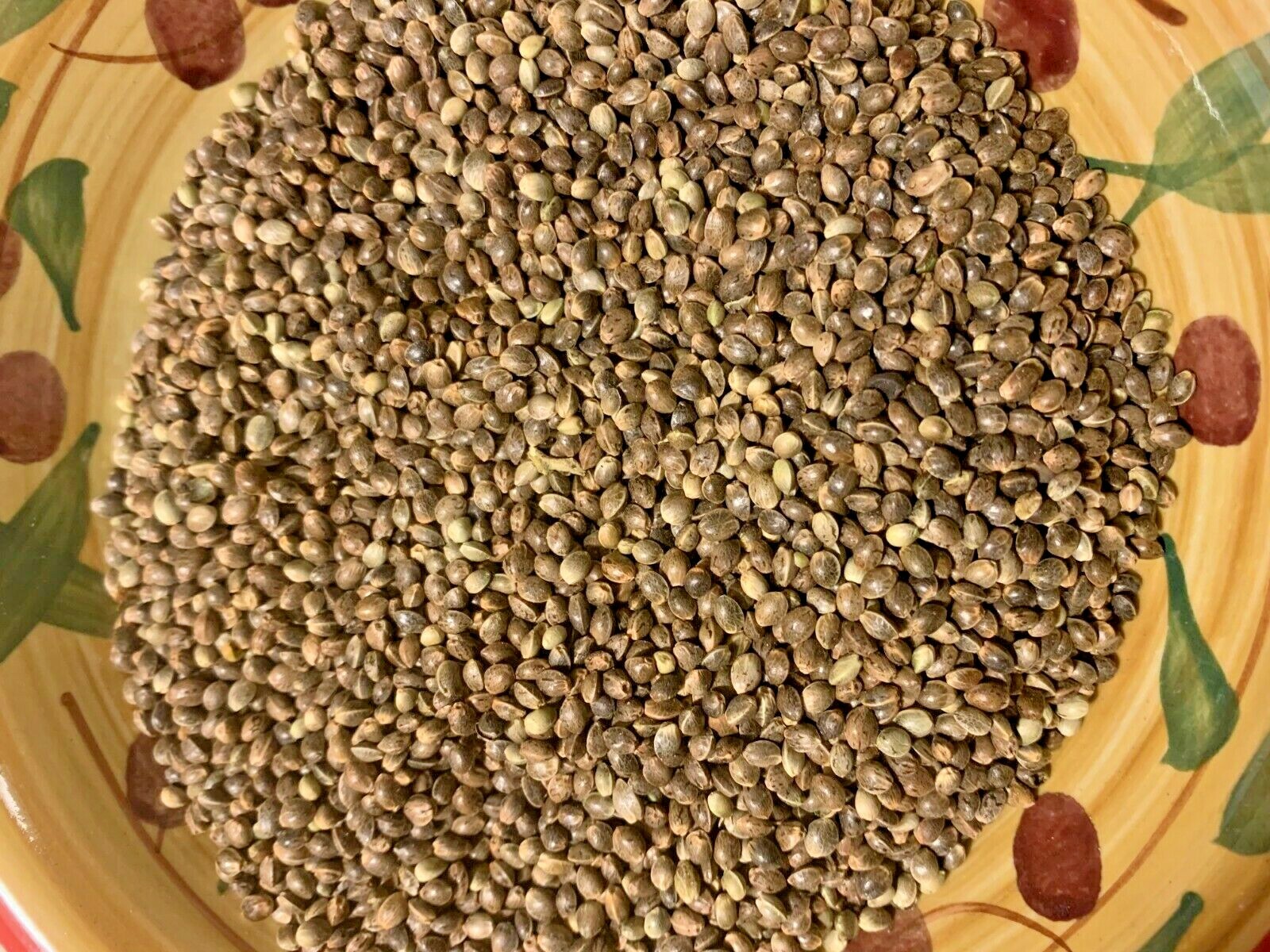 Ripkitty Premium Whole Hemp Seeds Nuts Organic Free Shipping