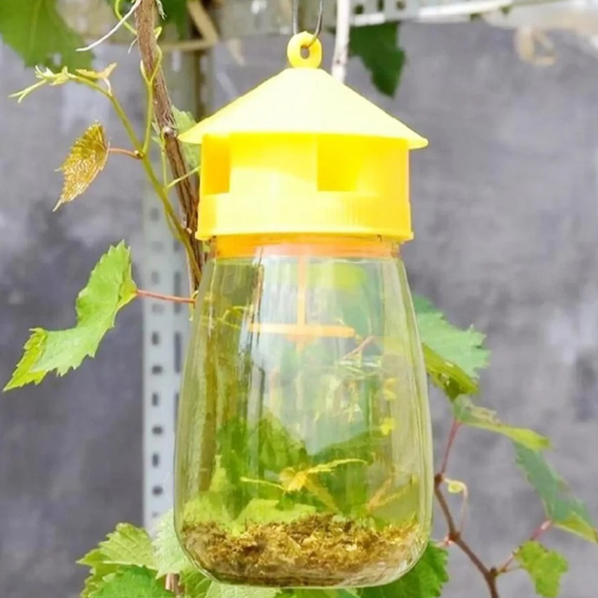 3pcs Fruit Fly & Insect Trap – Outdoor Plastic Hanging Drosophila Killer – NEW