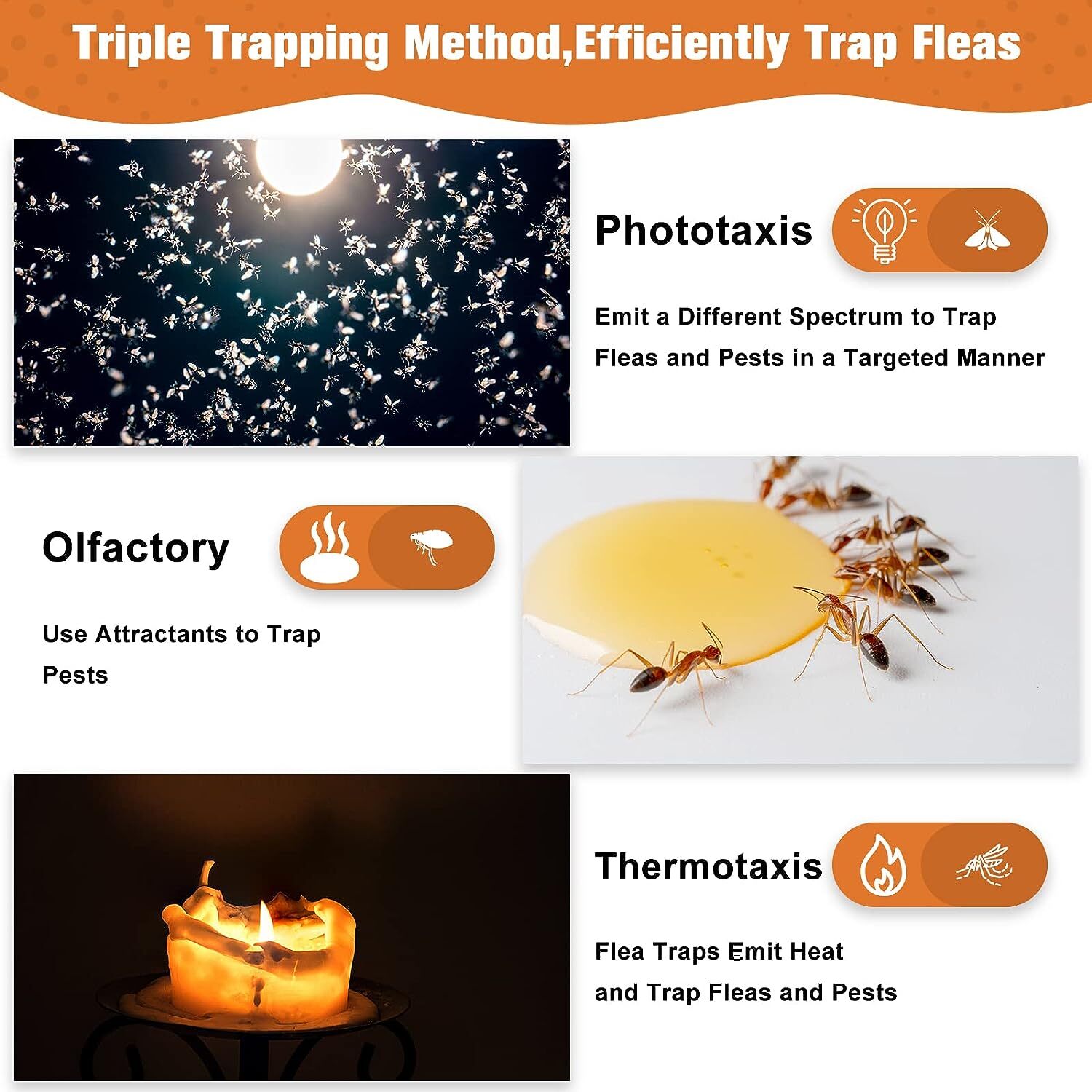Flea Traps for Inside Your Home with 2 Sticky Disc & 2 Bulbs & 1 Electric Wires