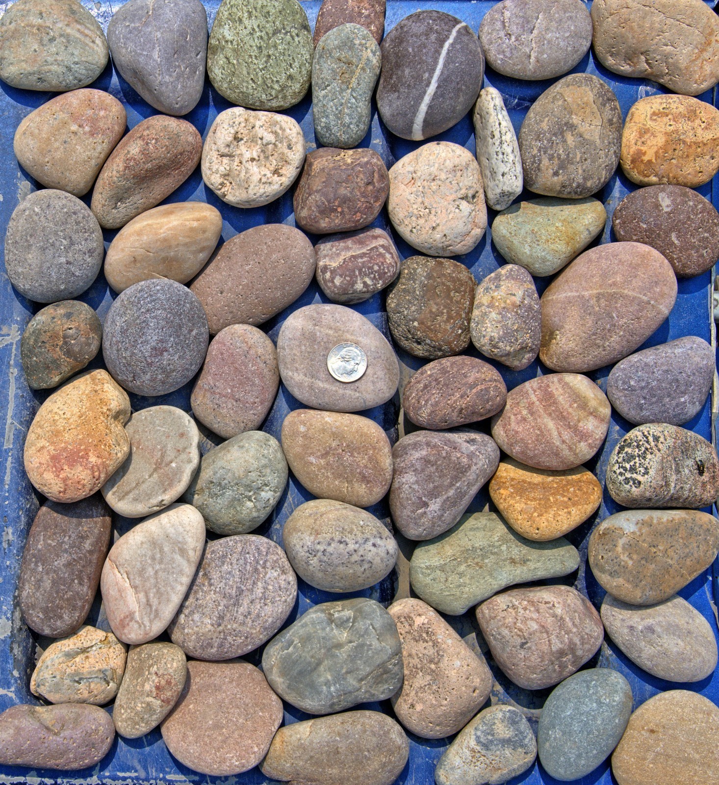 30 lbs Lot #1 Small Colorful River Rocks Water Feature Aquarium Landscape Pond