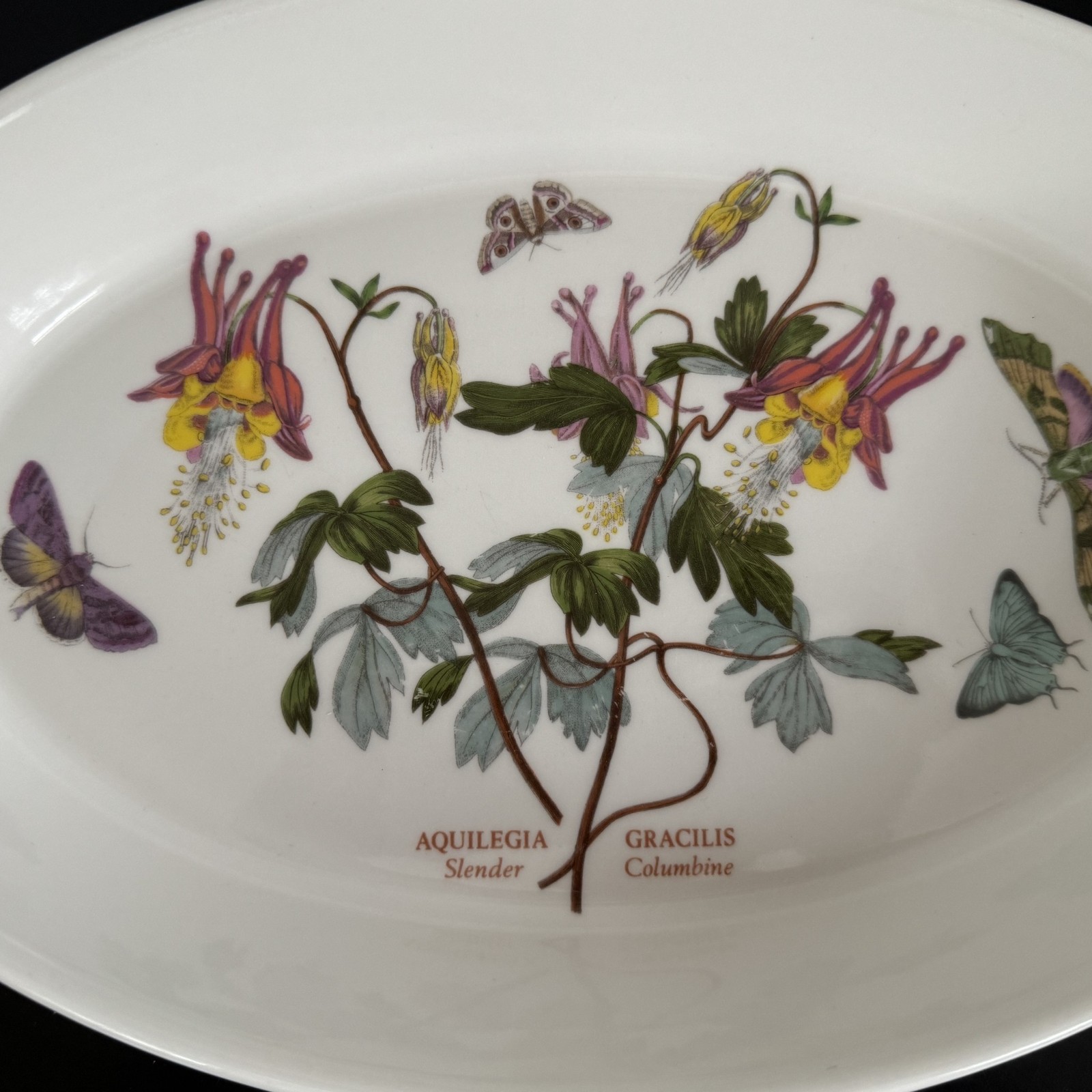 Portmeirion Oval Botanic Garden Slender Columbine 11″ Baking Serving Dish UNUSED