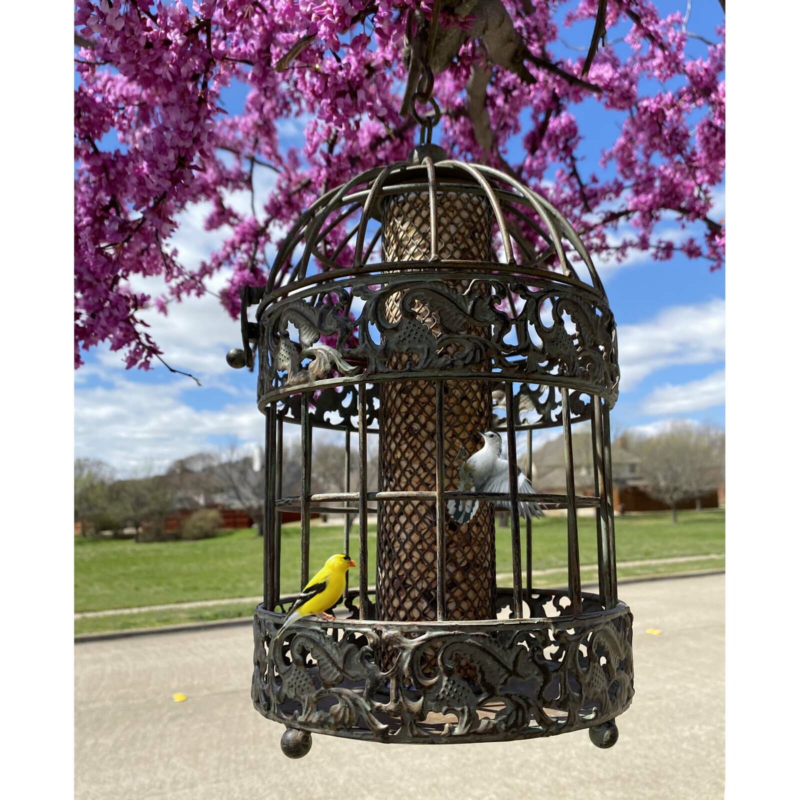 13 in. Tall Rustic Metal Squirrel Proof Caged Bird Feeder