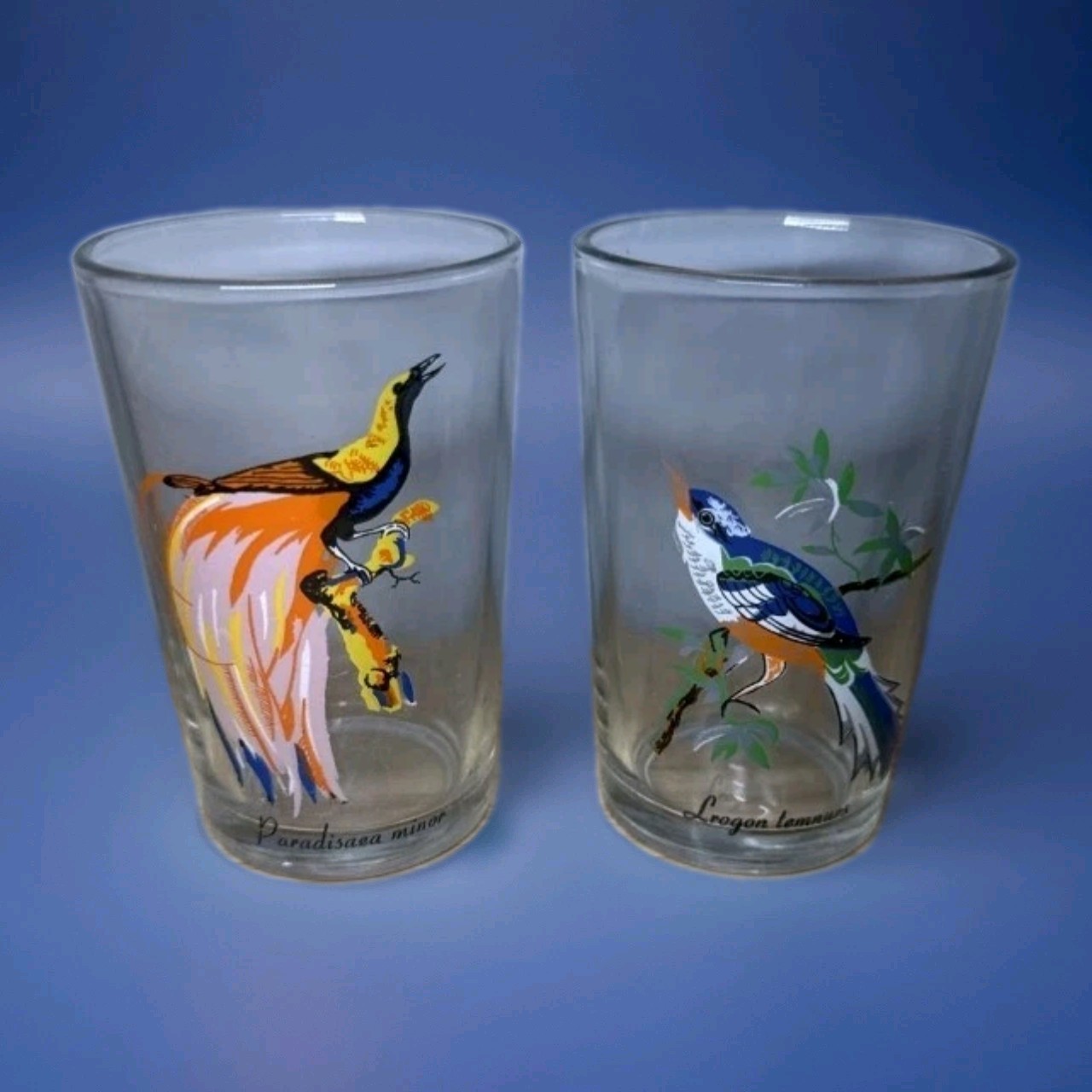VINTAGE Crystal Emporium Bird Glasses Set 4 Tumblers Exotic Birds KIG Malaysia