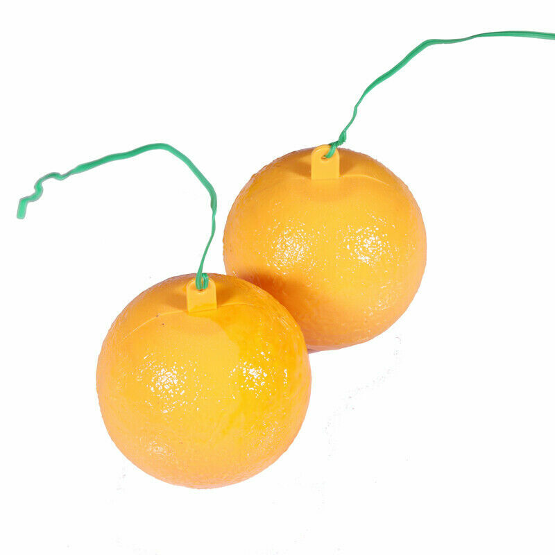 Bug Fruit Fly Traps Sticky Ball Fungus Gnat Pest Control Ball for Indoor Outdoor