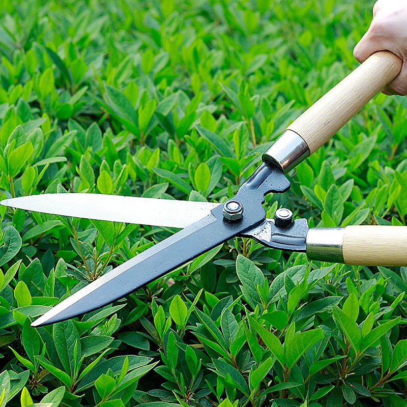 Titanium Garden Shears, Sharp Hedge Clippers for Branch Flower Grass Pruning