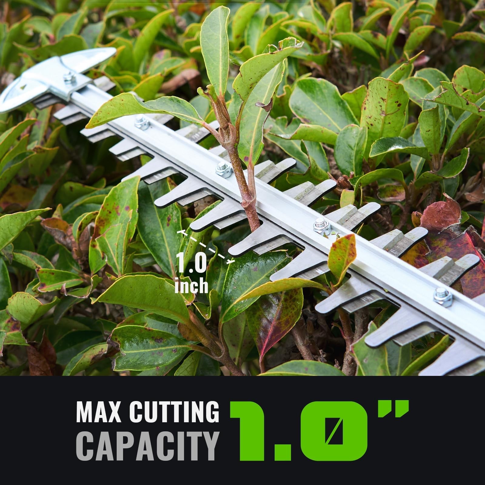 NovorikX 60V 26″ Cordless Hedge Trimmers HedgeTrimmer 2.5AH, Green