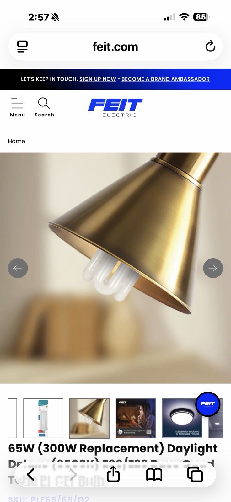 Feit 65 W PL 3.12 in. L CFL Bulb Daylight Utility 6500 K