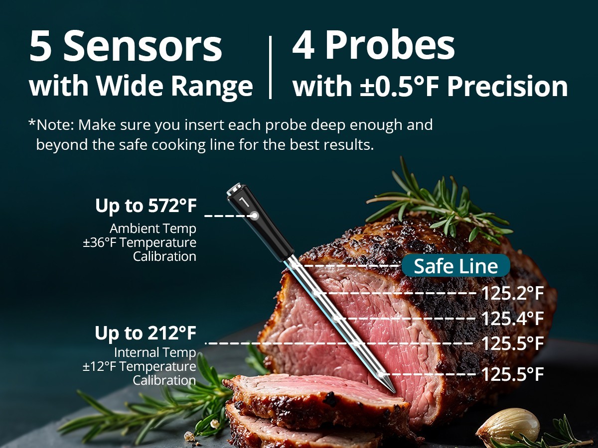 INKBIRD Wireless Meat Thermometer 5G WiFi Remote Food/Ambient Sensor Calibration