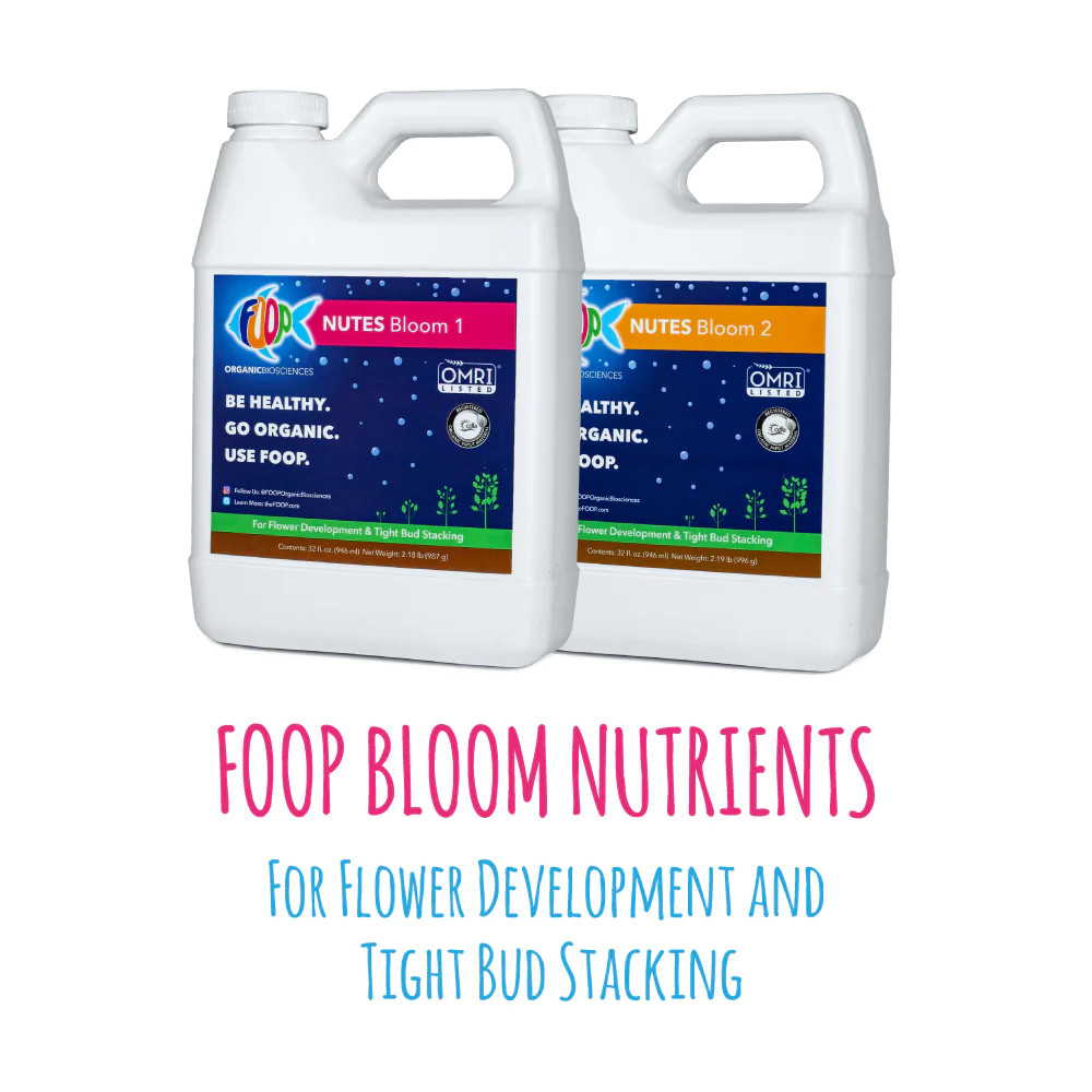 Official FOOP Nutes V&B Starter Pack – Direct from Manufacturer