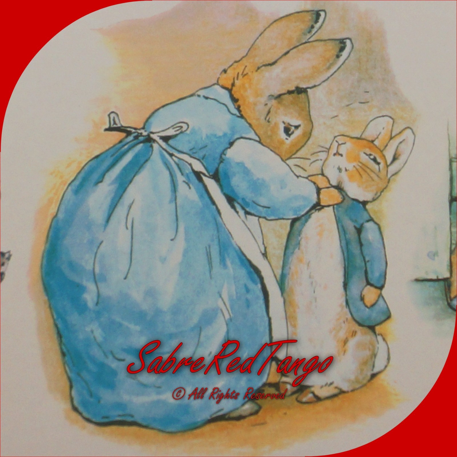 NOS VINTAGE 90S BEATRIX POTTER PETER RABBIT BORDER BPC13020W