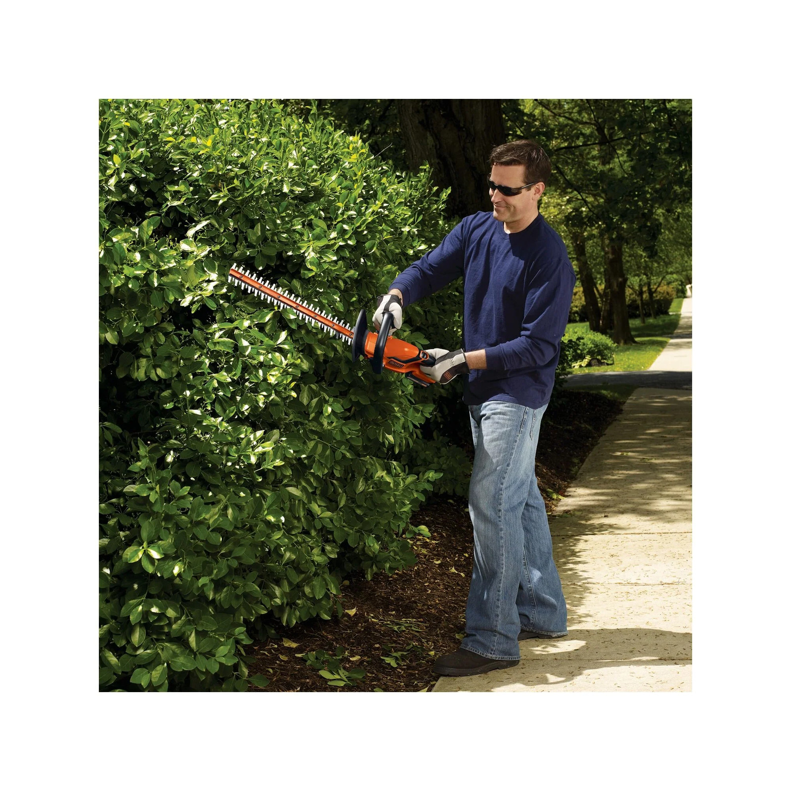BLACK+DECKER 20V MAX* Cordless Hedge Trimmer, 22-Inch – LHT2220